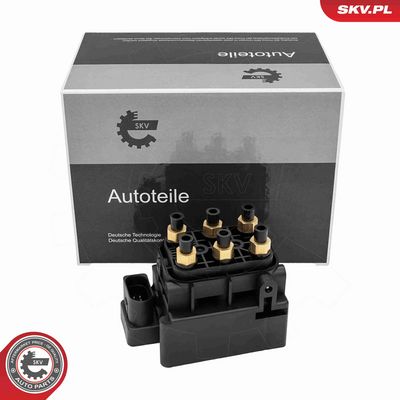 SUPAPA SISTEM SUPRAALIMENTARE ESEN SKV 97SKV315