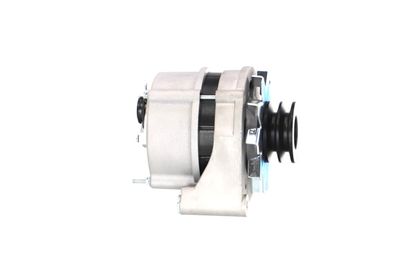 GENERATOR / ALTERNATOR REMANTE 011003000025R 48