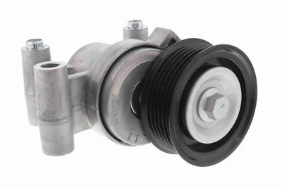 INTINZATOR CUREA CUREA DISTRIBUTIE ACKOJA A320602 1