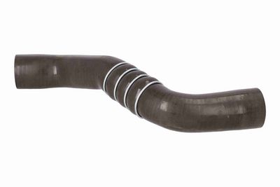 FURTUN EAR SUPRAALIMENTARE ACKOJA A380299 3