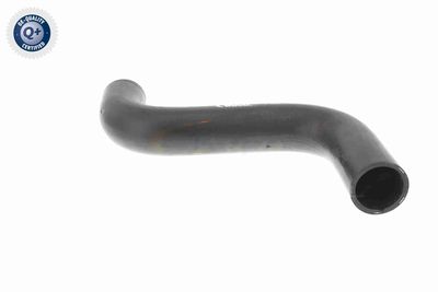 KüHLERSCHLAUCH VAICO V301574 2