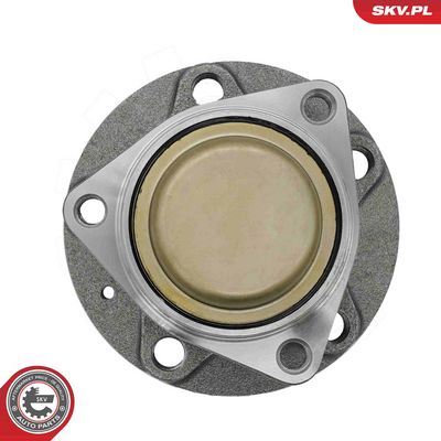 SET RULMENT ROATA ESEN SKV 29SKV734 1