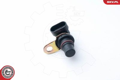 Sensor, camshaft position 17SKV248