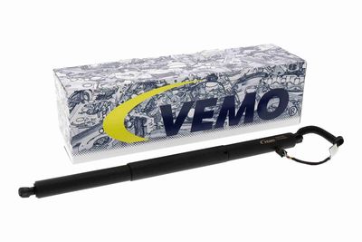 MOTOR ELECTRIC HAION VEMO V10550043 1
