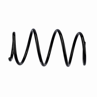 ARC SPIRAL EIBACH R10839 7