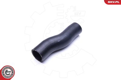 FURTUN EAR SUPRAALIMENTARE