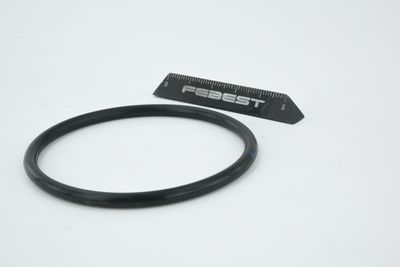 ETANșARE CARCASă CLAPETă FEBEST RINGAH010 31