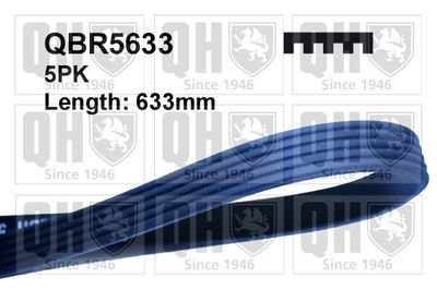 Поликлиновой ремень QUINTON HAZELL QBR5633 для ROVER 800