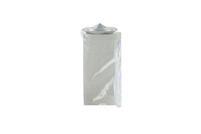 SUPAPA EXPANSIUNE CLIMA WALKER WEX00054 1