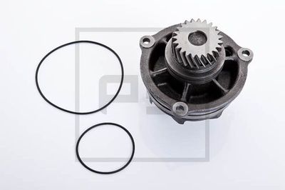 Vattenpump, motorkylning PE AUTOMOTIVE 020.100-00A