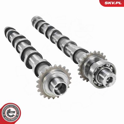 SET AX CU CAME ESEN SKV 21SKV272 6