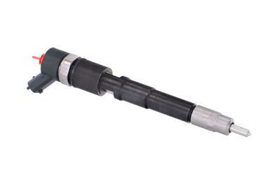 INJECTOR REMANTE 002003000031R 46