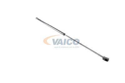 AMORTIZOR CAPOTA VAICO V101949 20
