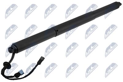 Galinių durų elektros variklis