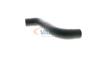 FURTUN EAR SUPRAALIMENTARE VAICO V102886 8