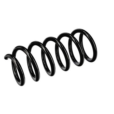 ARC SPIRAL EIBACH R10978 5