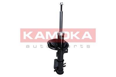 Shock Absorber 2000301