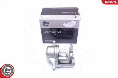 Brake Caliper 42SKV481