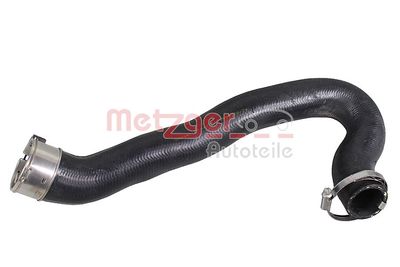 FURTUN EAR SUPRAALIMENTARE