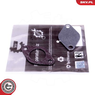 Remonto komplektas, AGR vožtuvas