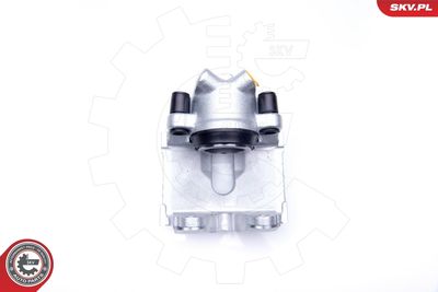 Brake Caliper 34SKV041