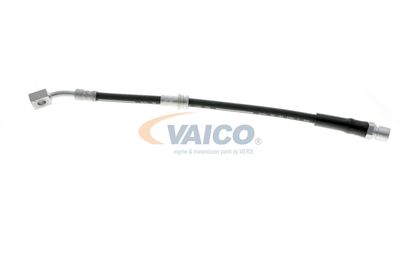 FURTUN FRANA VAICO V404110 17