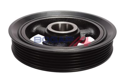FULIE CUREA ARBORE COTIT BOGAP B1213123 2