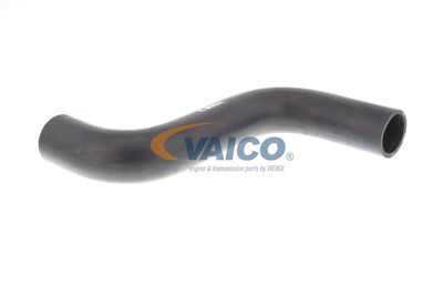 KüHLERSCHLAUCH VAICO V301574 11