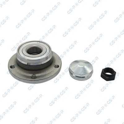 SET RULMENT ROATA GSP 9230179K