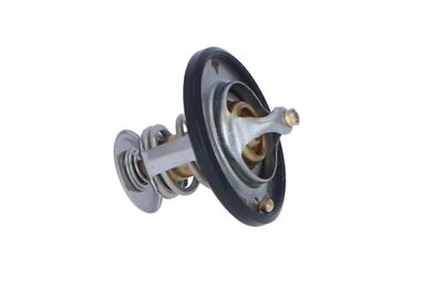 TERMOSTAT LICHID RACIRE NRF 725087 39