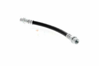 FURTUN FRANA VAICO V104136 2