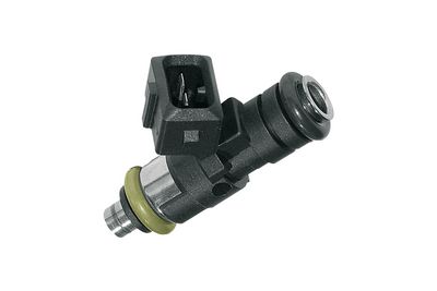 BOSCH Einspritzventil