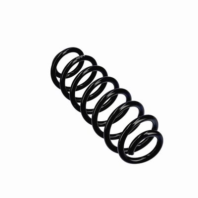 ARC SPIRAL EIBACH R21213 11