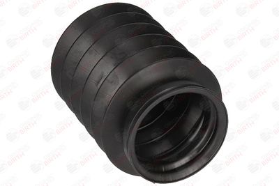 CAPAC PROTECTIE/BURDUF AMORTIZOR BIRTH 50303 9