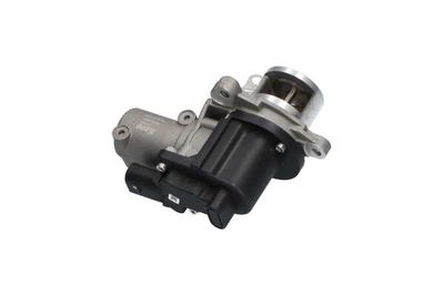 SUPAPA EGR Kavo Parts EEG3021 12