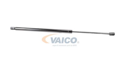 AMORTIZOR PORTBAGAJ VAICO V240501 14