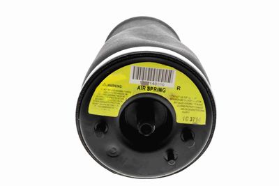 LUFTFEDERBEIN VEMO V205000041 7