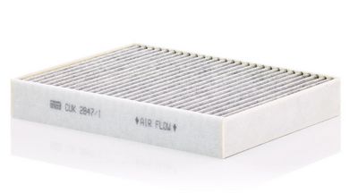Filter, Innenraumluft