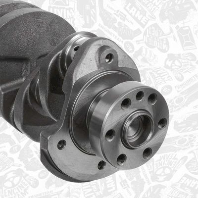 ARBORE COTIT ET ENGINETEAM HK0228 4