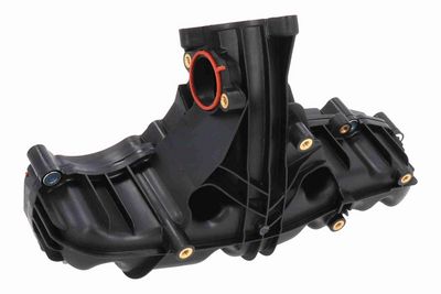 MODUL CONDUCTA ADMISIE VAICO V106485 1