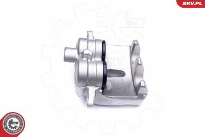 Brake Caliper 44SKV622