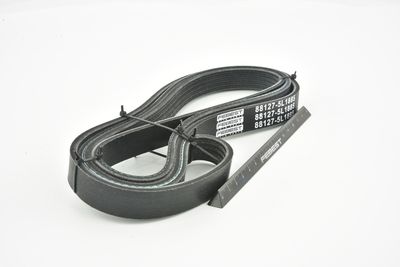 CUREA TRANSMISIE CU CANELURI FEBEST 881275L1885 43