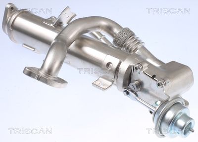 RADIATOR RECIRCULARE GAZE DE ESAPAMENT KAWE 881329329 2