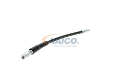 FURTUN FRANA VAICO V204104 44