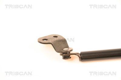 AMORTIZOR PORTBAGAJ TRISCAN 871050229 1