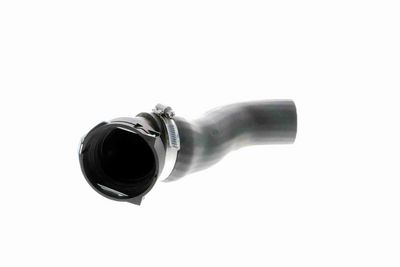FURTUN EAR SUPRAALIMENTARE VAICO V201620 8