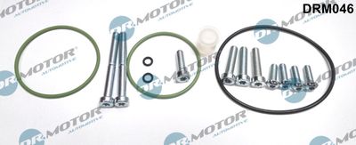 Reparatursatz, Unterdruckpumpe (Bremsanlage) Dr.Motor Automotive DRM046