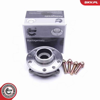 SET RULMENT ROATA ESEN SKV 29SKV269