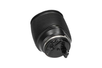 ARC PNEUMATIC DIRECTIE Kavo Parts SAS10012 23