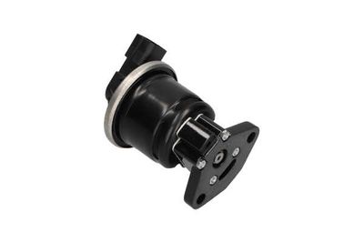 SUPAPA EGR Kavo Parts EEG2006 19
